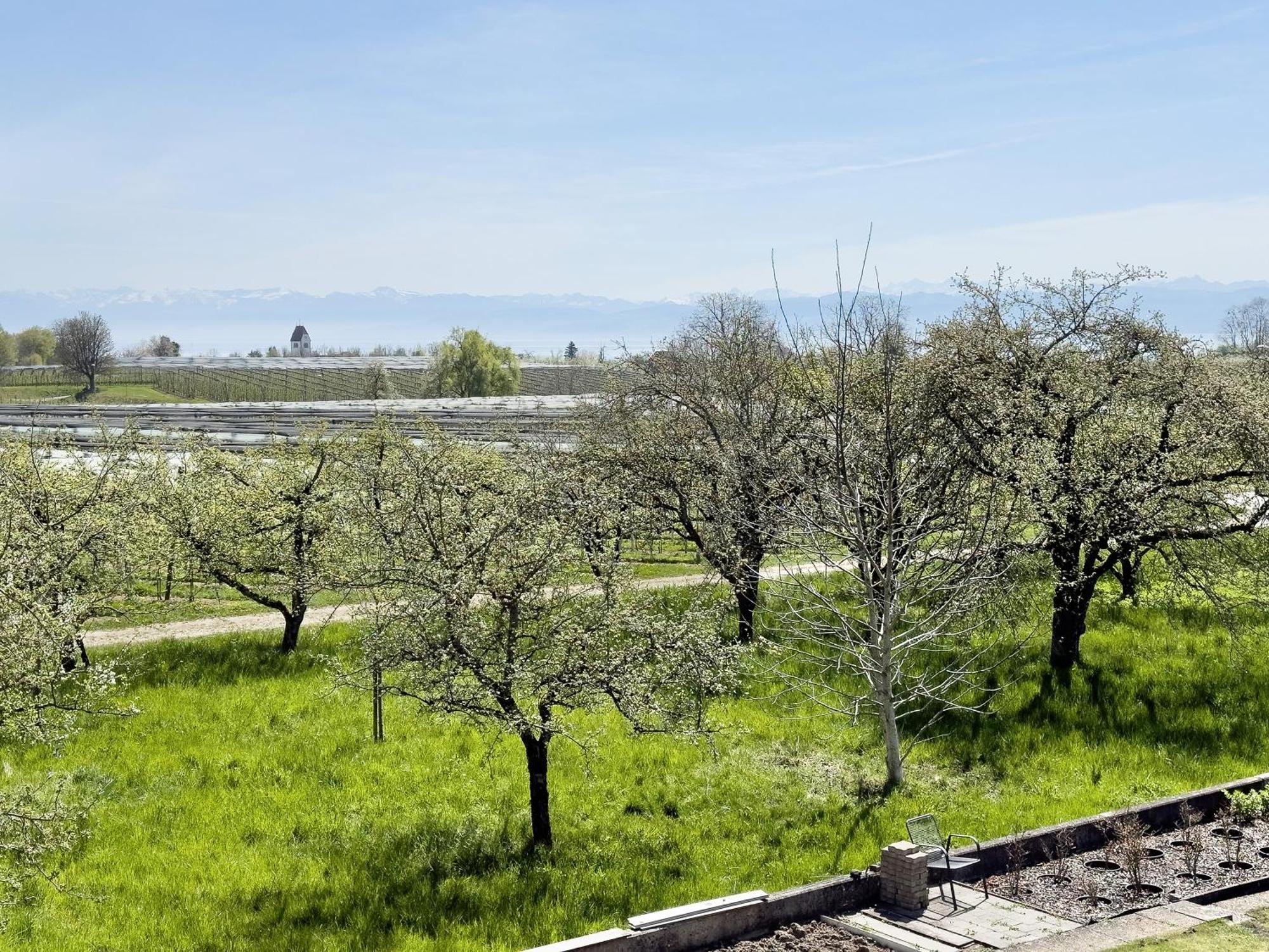 Ferienwohnung Plocher Immenstaad am Bodensee Ngoại thất bức ảnh